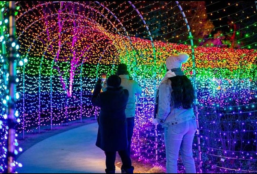 New England Botanical Garden to Glow This Month With Night Lights