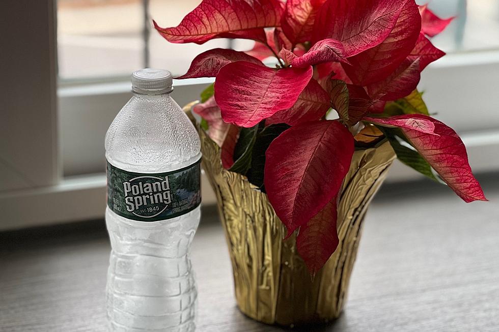 Poland Spring's Wave of Generosity Rescues Lewiston Small Busines