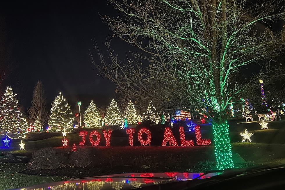 Sprawling Holiday MA Lights Create Stunning Drive-Through Display
