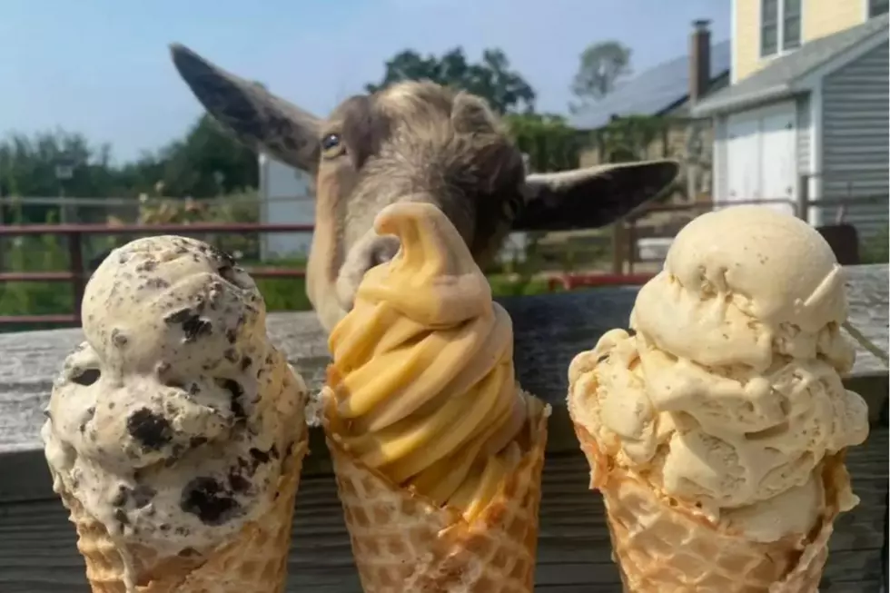 New Hampshire’s Best Ice Cream Shop Serves Impressive Portions in a Peaceful Farm Setting