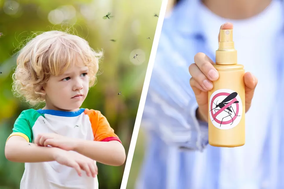 Try This No Chemical Mosquito Repellent For New England