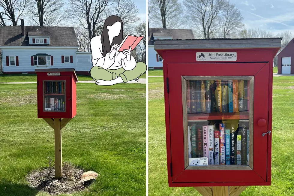 Little Free Libraries are Magically Popping Up in New Hampshire