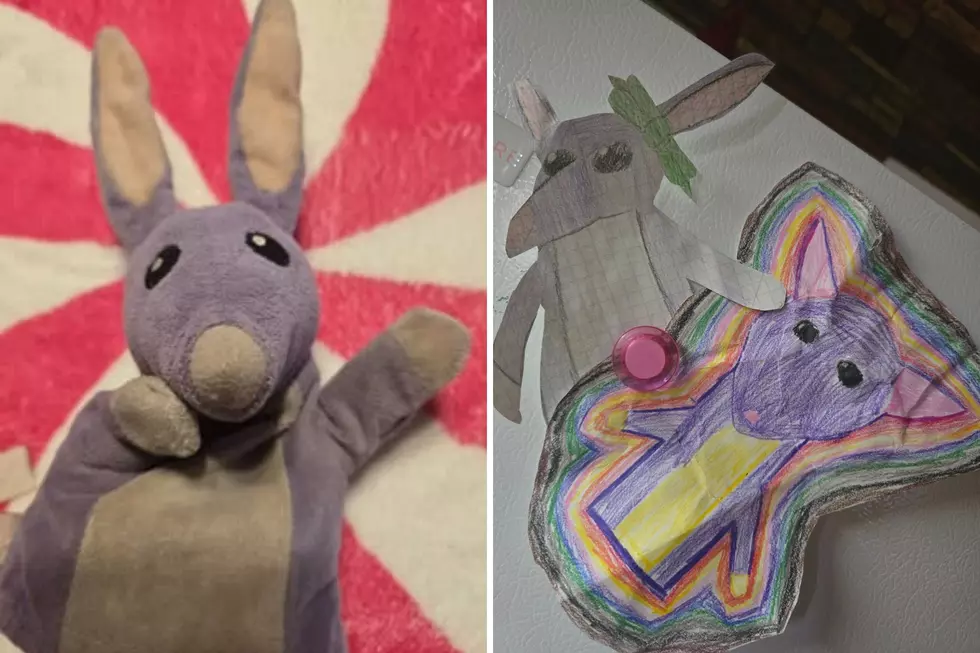 Let’s Reunite Girl with Stuffy she Lost on Hampton Beach in New Hampshire