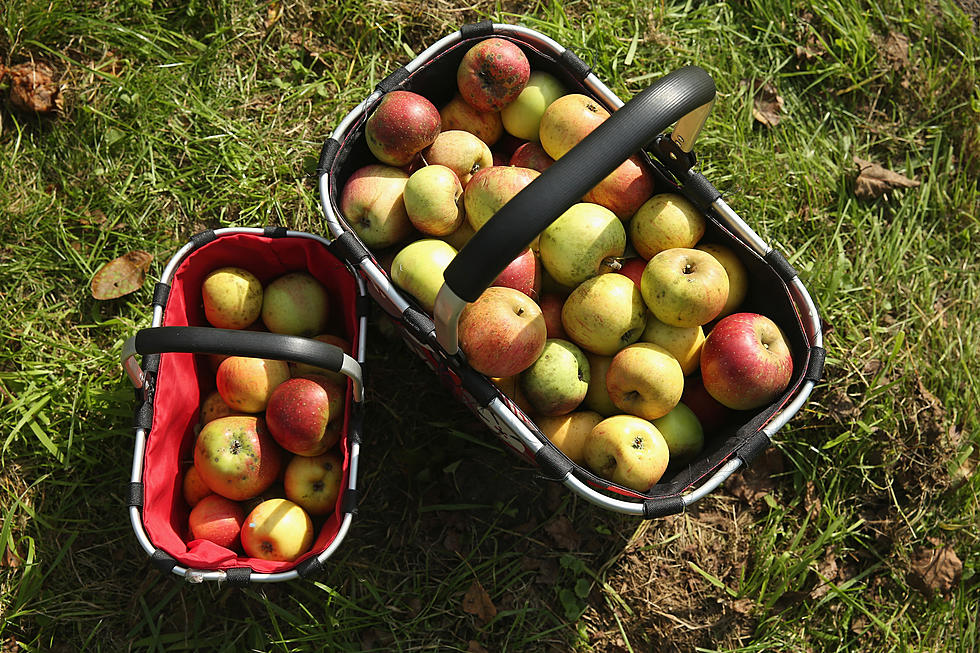 NY Apples and Cider Locator