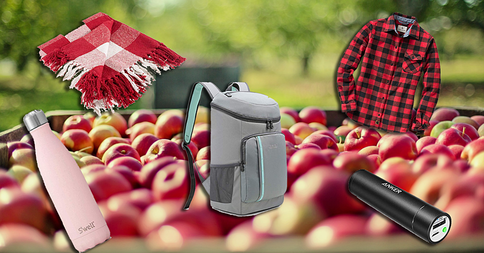 5 Essentials For Apple Picking In The Hudson Valley