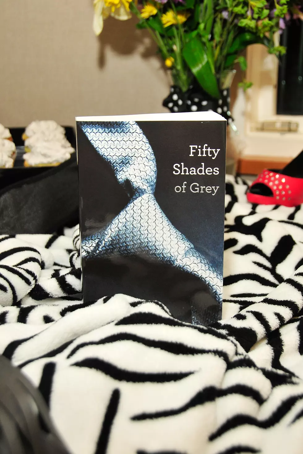 New &#8216;Fifty Shades of Grey&#8217; Book!