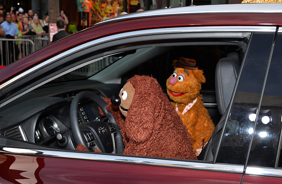 Fozzie Bear & Kermit The Frog Are Muppets With Attitude