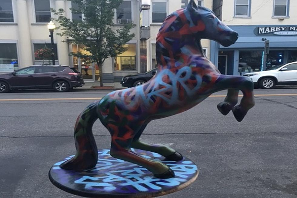 Why Are Painted Horses Taking Over Saugerties?