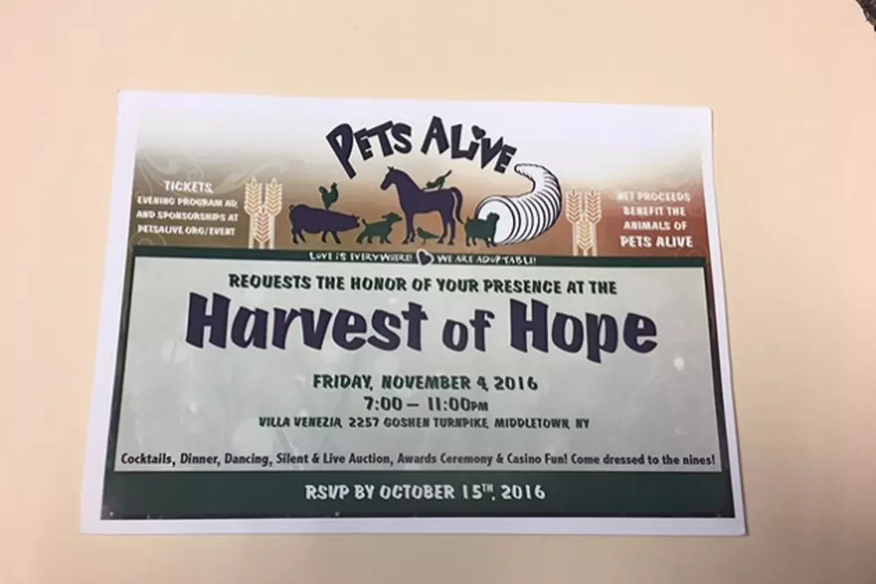 Pets Alive To Hold Harvest-of-Hope Fundraiser
