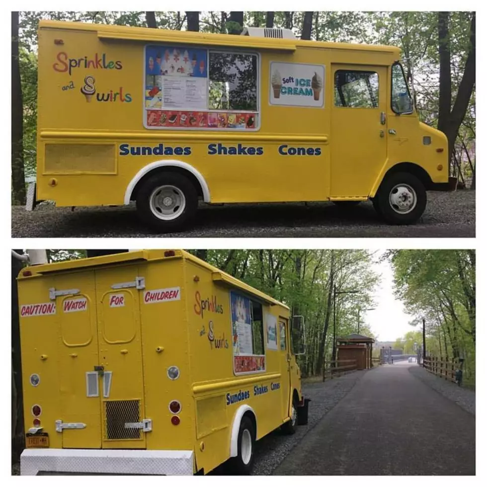 Food Truck For Sale With 2 Months of Free Ice Cream