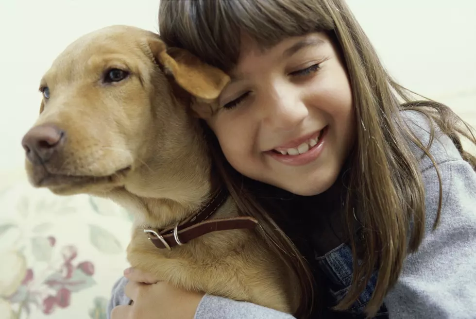 Foster Families Needed For Autism Service Dogs; Requirements