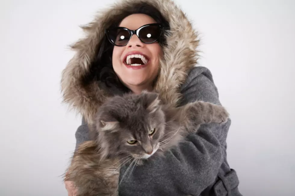 Cat Person? You Actually Develop These Traits From Your Cat