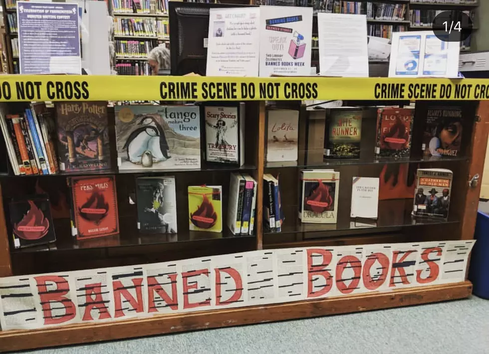 Local Library is Fighting Back Against Banned Books