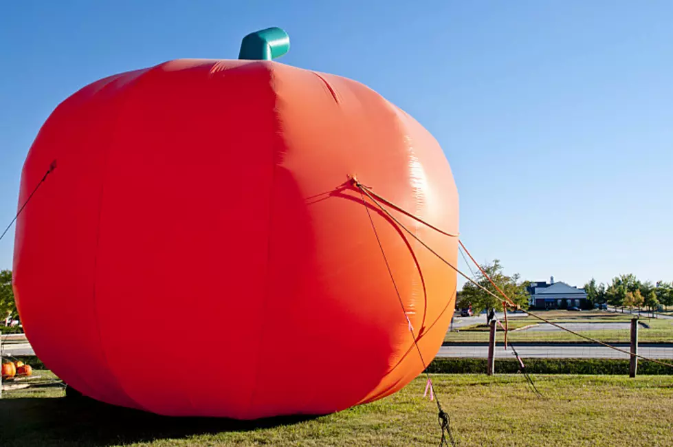 Where Can You Find the Biggest Pumpkin in New York?