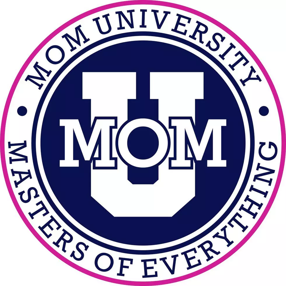 Hudson Valley Moms - Are You Attending The Inaugural Mom U?