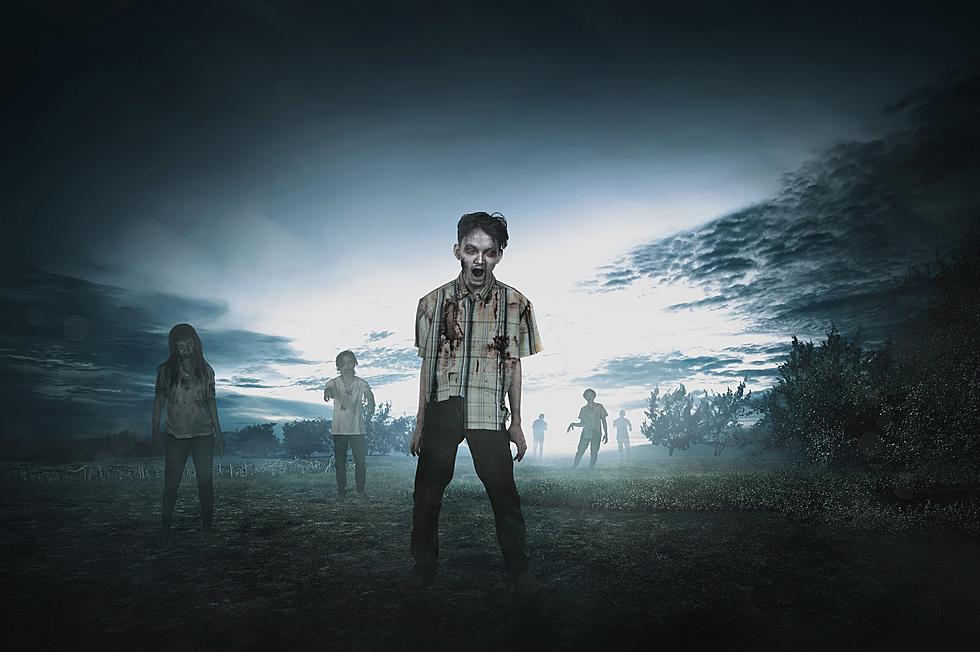 College Scholarship Will Give You $2000 for Outlasting Zombies