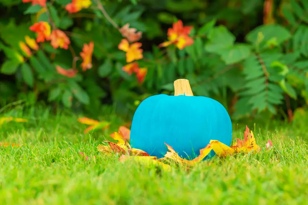 Will You Have a Teal Pumpkin on Your Steps for Halloween?