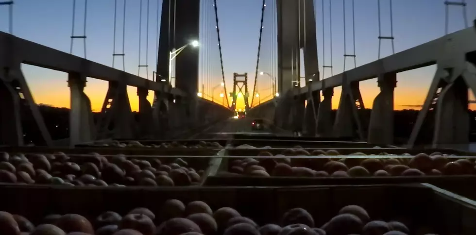Local Apple Delivery Set To Captivating Hudson Valley Sunrise