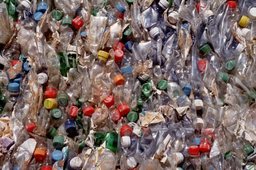Plastic Bottles Could Be The Next ‘Banned’ Item