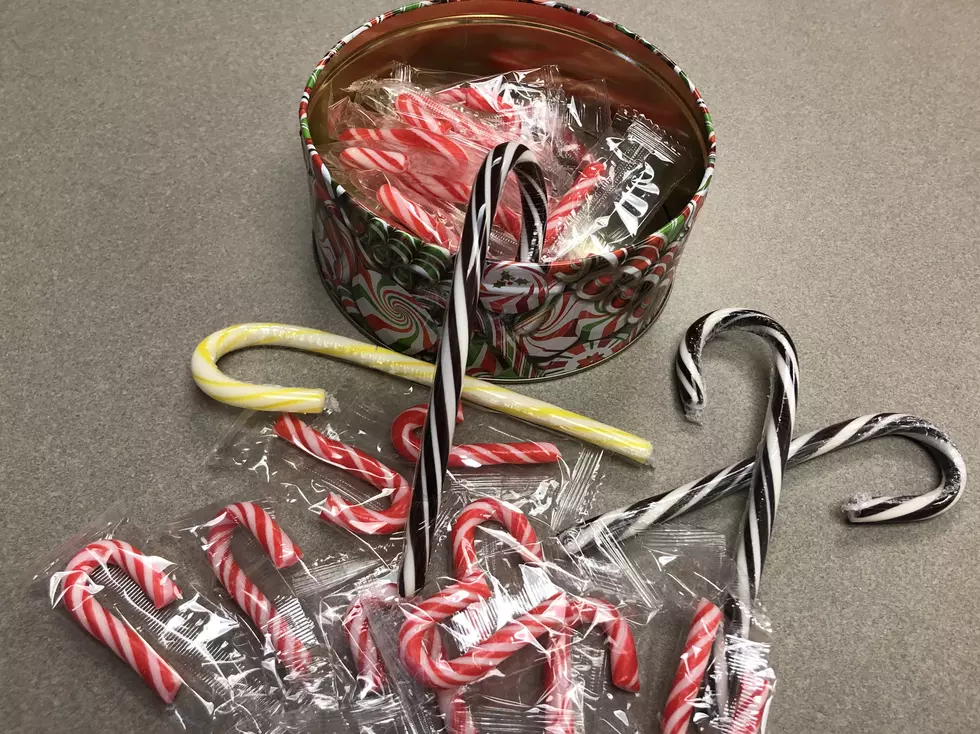 Keep Candy Canes Away From Your Pups This Holiday Season