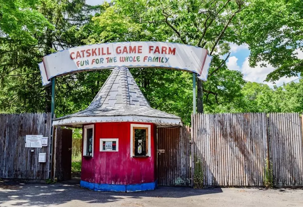 The Catskill Game Farm Jingle has been stuck in my head for the last 30 years.