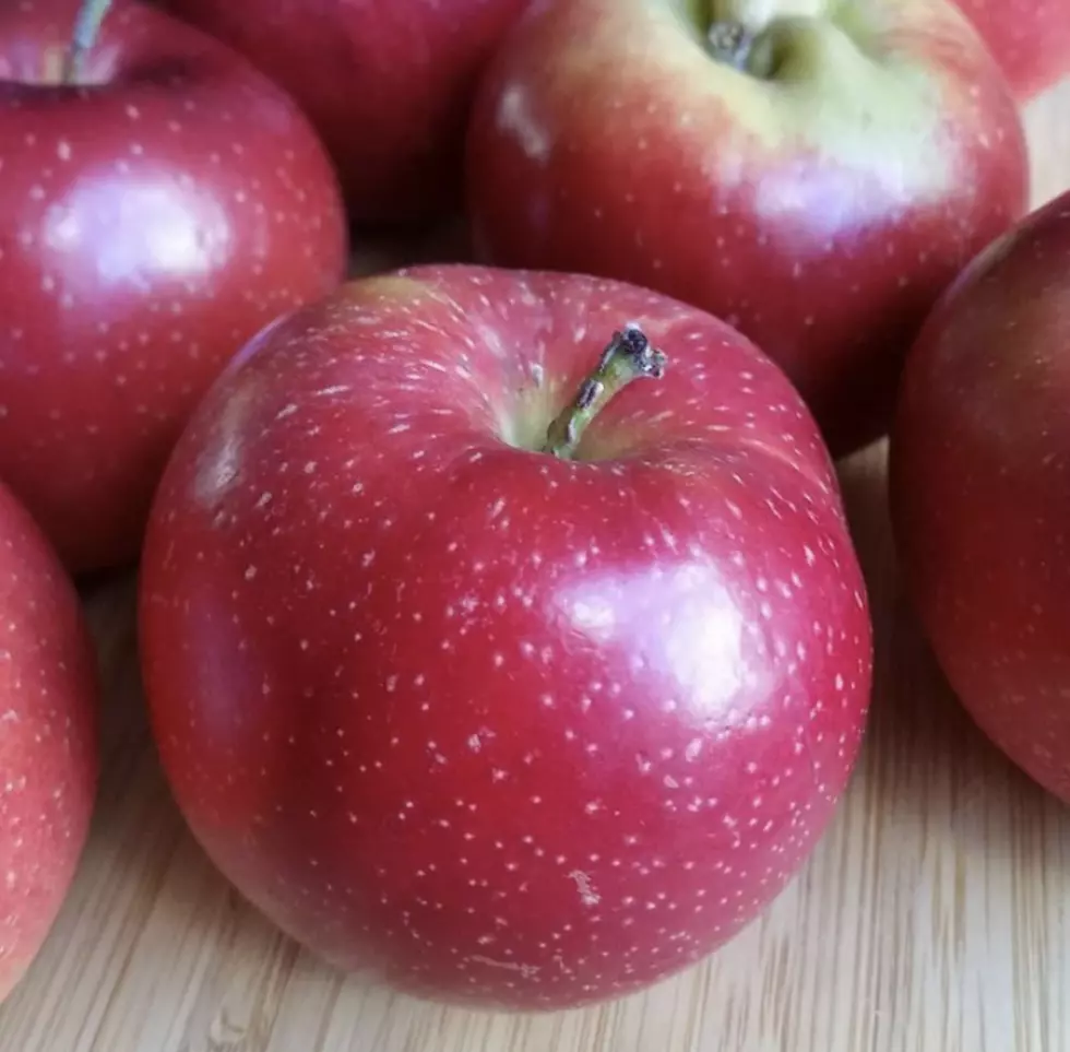 Extremely Rare Apple Named After Hudson Valley Town & I Bet You Can’t Guess it