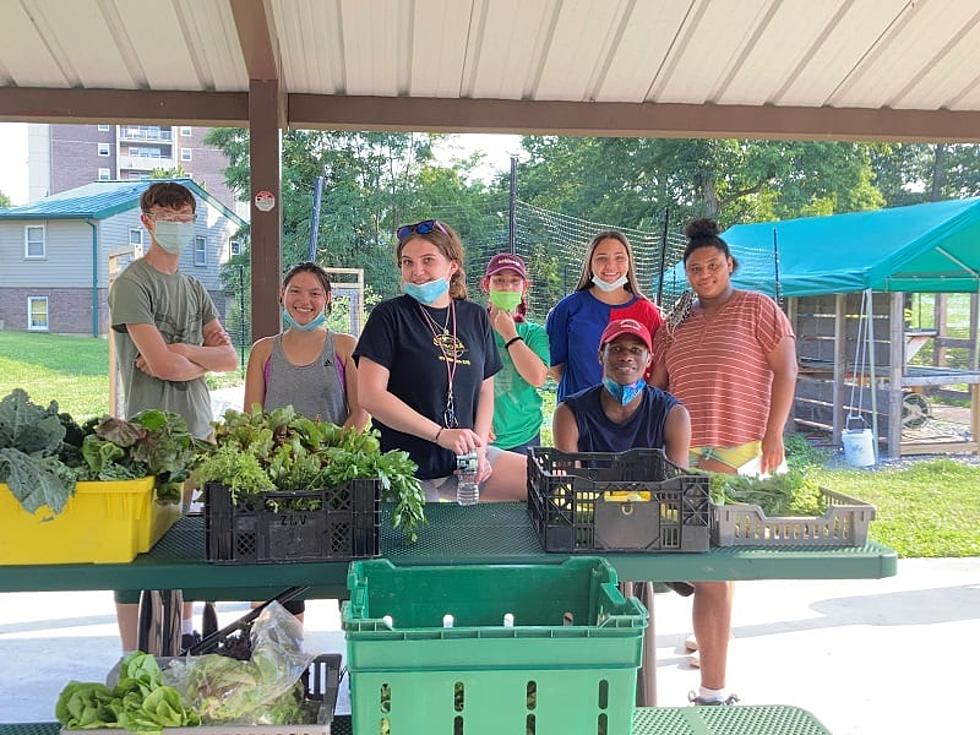 Free Produce Stand Run by Local Teens Open Wednesdays in Beacon