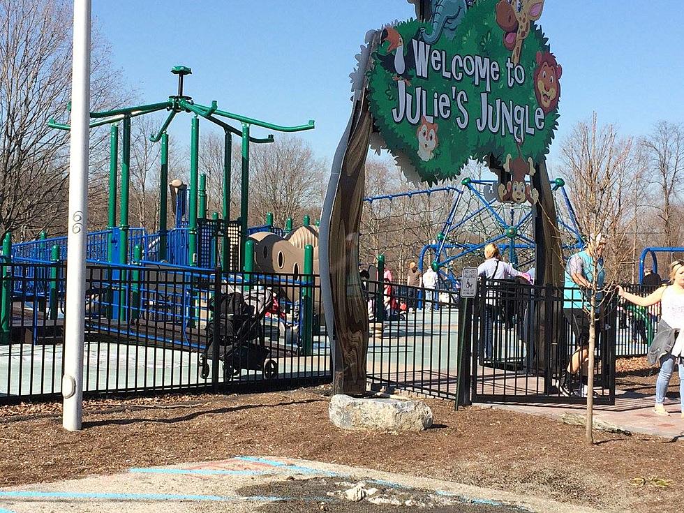 Plea From Popular Playground to Parents:  Please Supervise Your Children & Pets