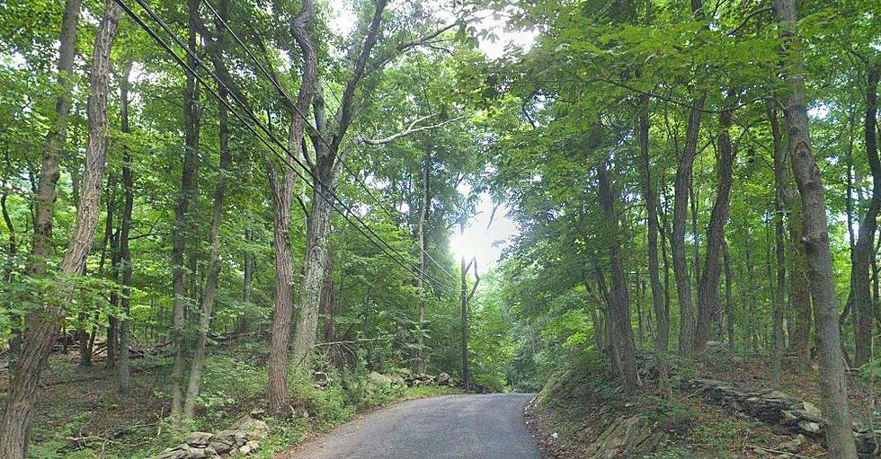 White Plains Road Rumored to Have Had House of Cannibal Murderers