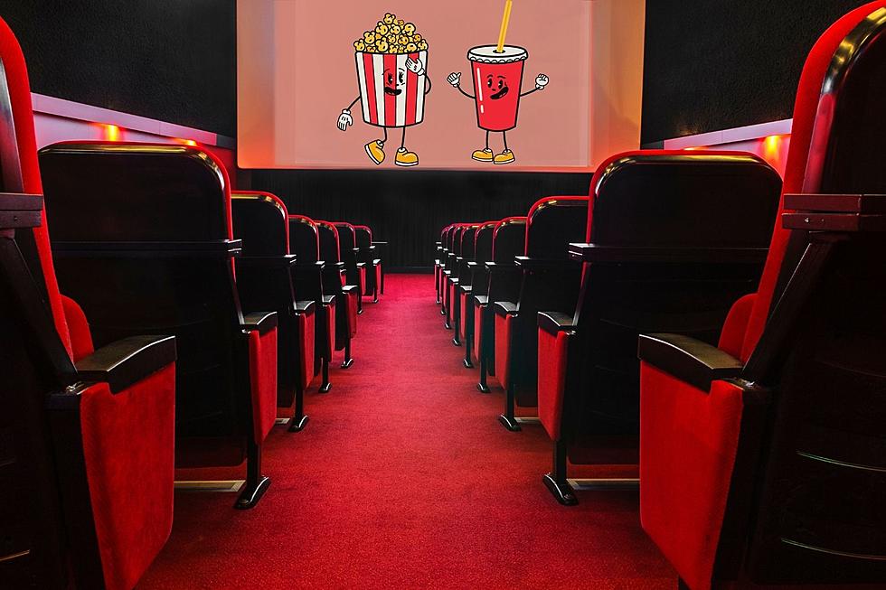 20 Best Movie Theaters in the Hudson Valley According to Google