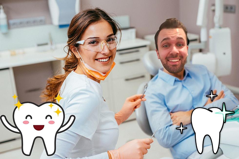 13 Highly Recommended Dentists Near Poughkeepsie