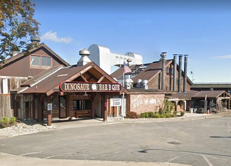We Need a Dinosaur Bar-B-Que in Middletown, New York ASAP
