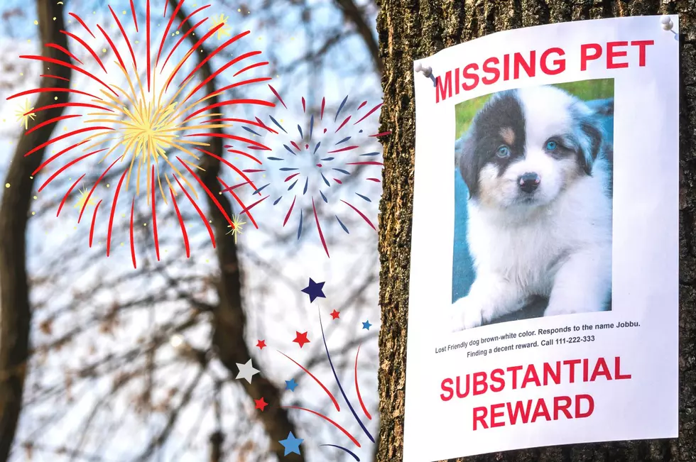 Safety Alert: Hudson Valley Pets Most Likely to Go Missing this Weekend