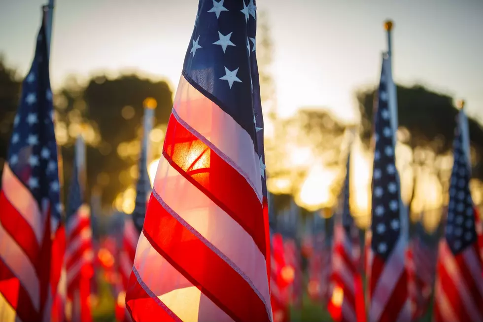 Dutchess County to Hold “Red, White, and You! Veterans Appreciation Picnic”