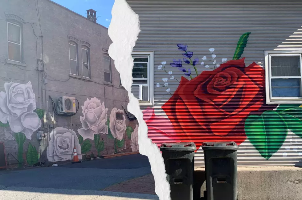 “History Erased”: The Strange Fight Over Roses in Rosendale, NY