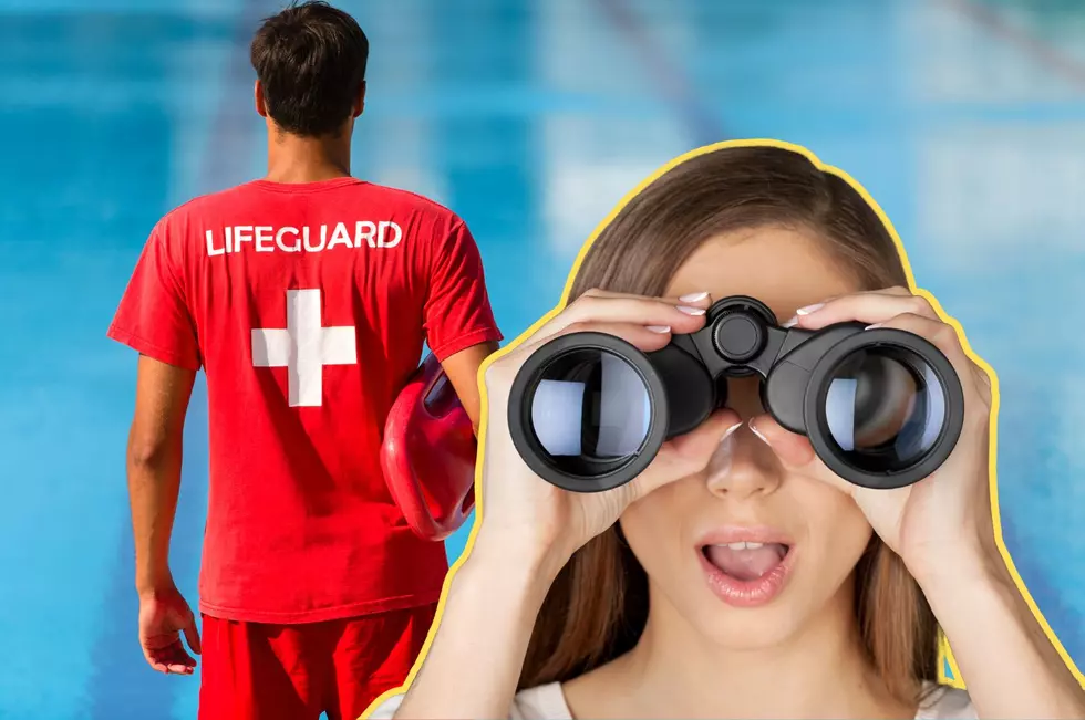 New Trend in the Hudson Valley? Lifeguards Hired for Private Parties Amid Shortages