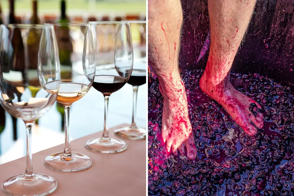 SQUISH! Grape Stomping Event Returns to Hudson Valley Winery In Time For Fall