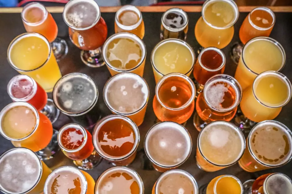 Beer Lover’s Dream: What Local Favorites to Expect at the Hudson River Craft Beer Festival