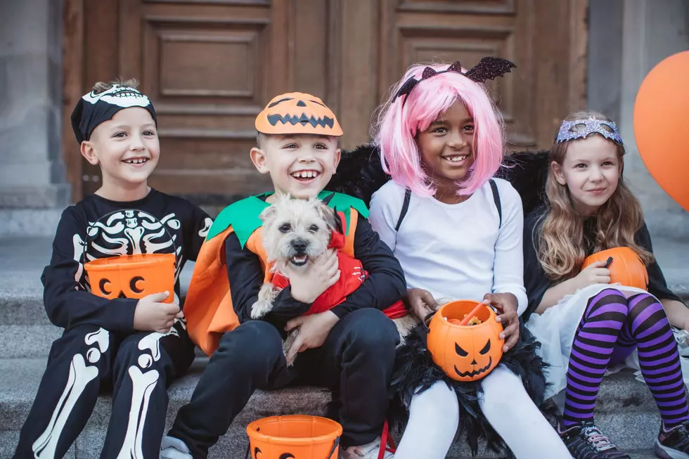 Boo-Free Zone! No-Scare Halloween Offered for Families in Monroe