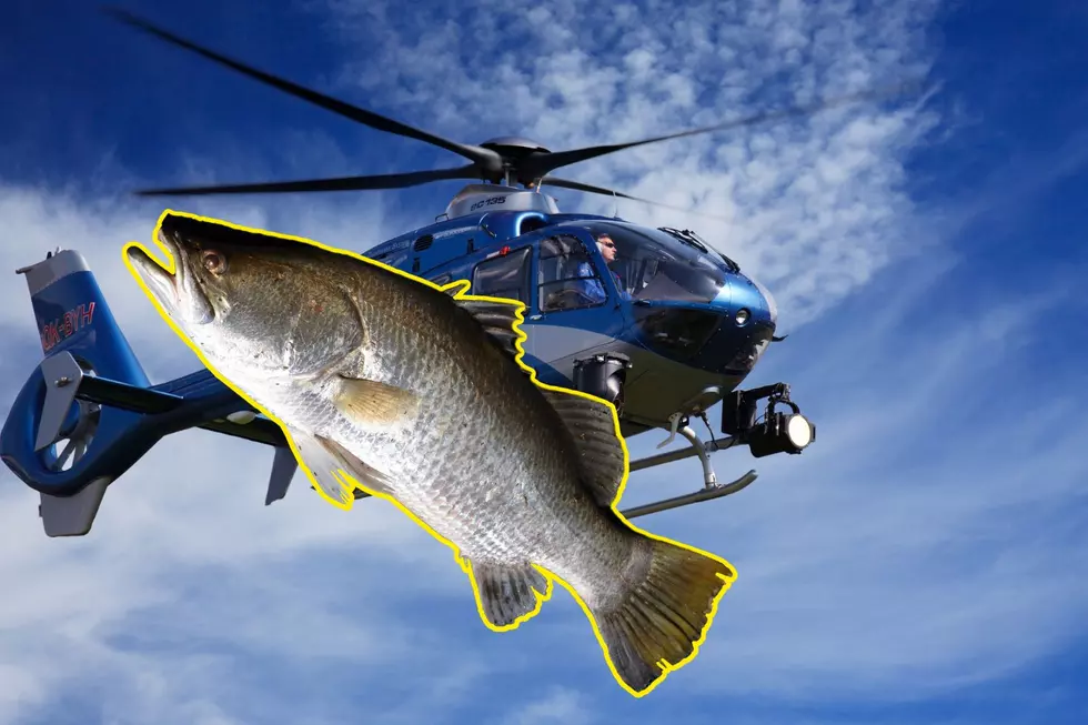Why the Next NY Police Helicopter You See May be Full of Fish