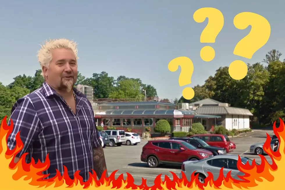 Unbelievably, Guy Fieri Has Only Ever Featured ONE HV Diner