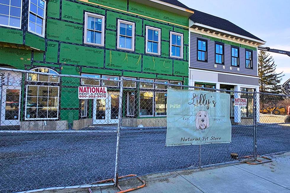New Pet Store Coming to the Eastdale Village this June