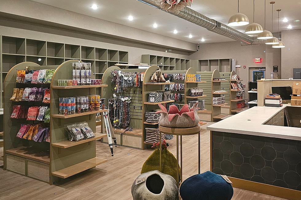 New Pet Store Opens in Poughkeepsie’s Eastdale Village