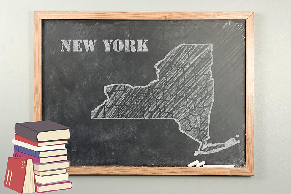 New York’s 2023 Public Education Rankings: Where Do We Stand?