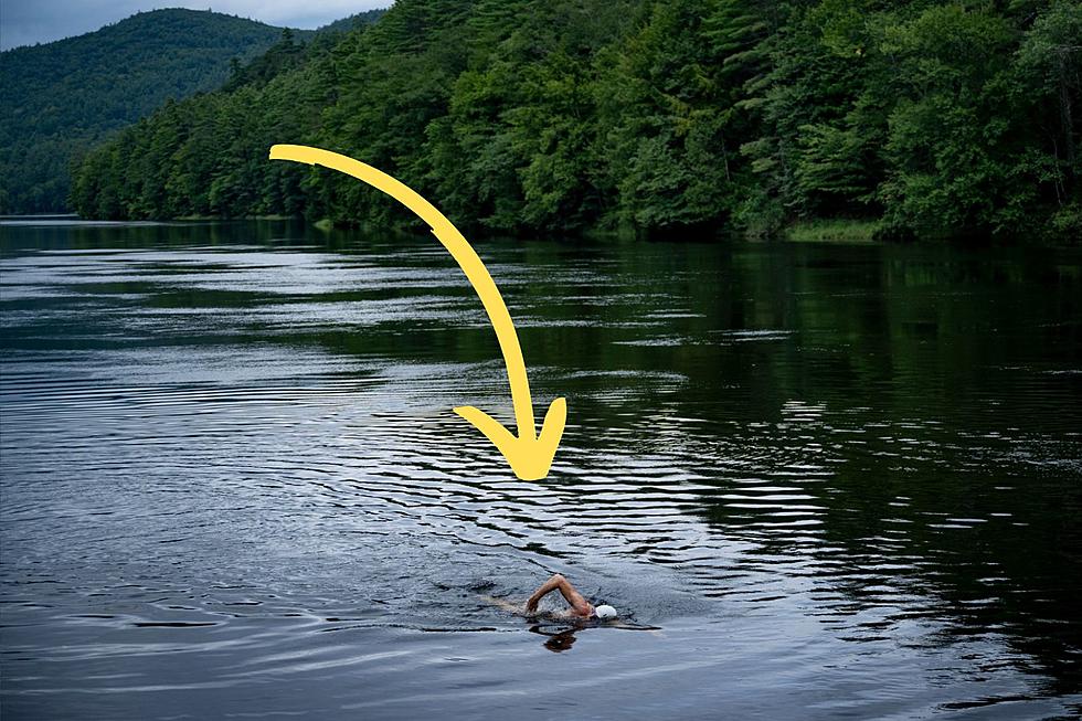 Challenge: Why This Man is Swimming the Entire Hudson River