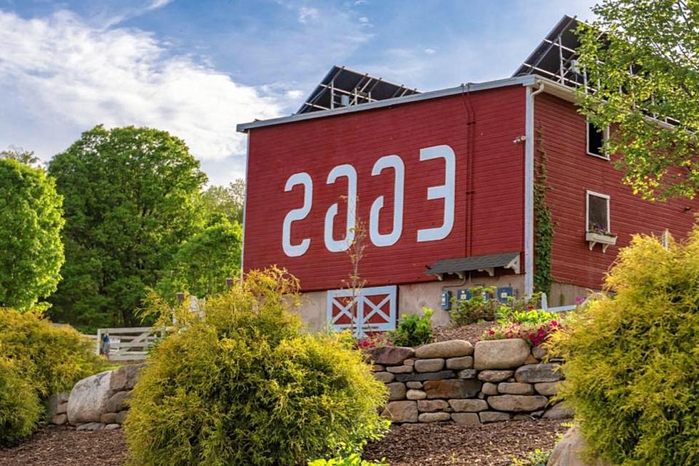 Visit the Awesome ‘Backwards’ Farm Just Minutes from New York