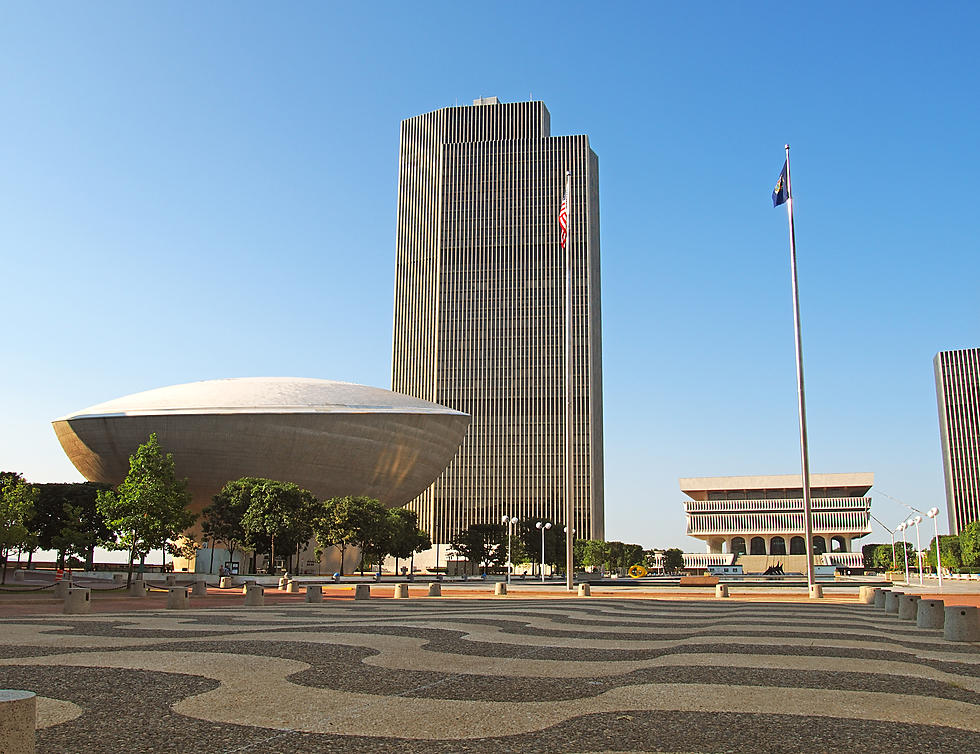Some New Yorkers Baffled by Giant Building in Albany