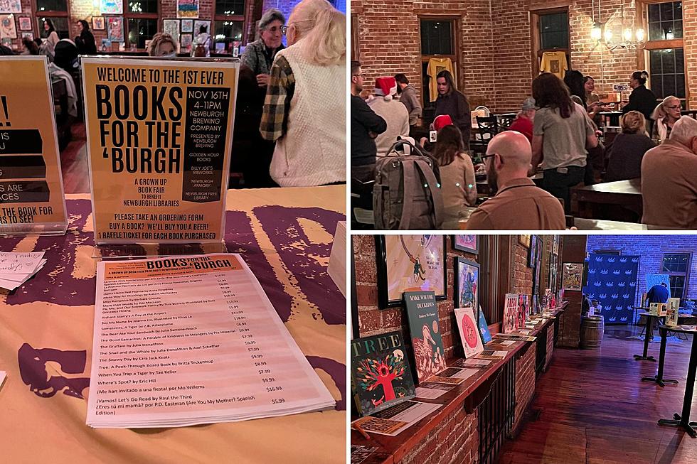 Inaugural ‘Books For the ‘Burgh’ Event Collects Nearly 400 Books for Newburgh Libraries