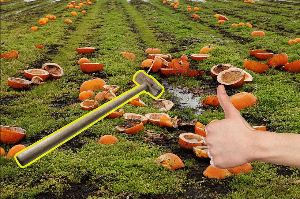 New York DEC: Why You Should Smash Your Pumpkins Now