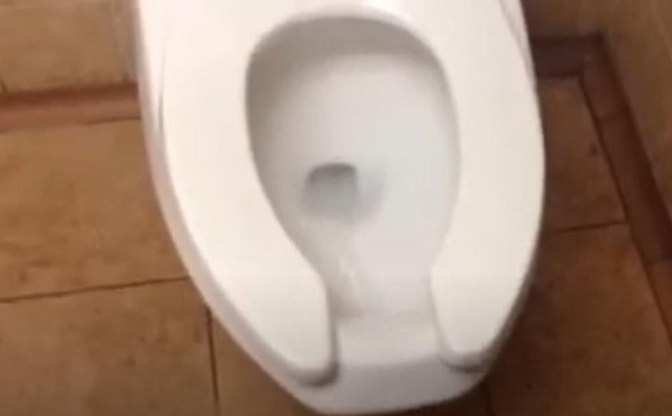 Man Records Public Toilets in Upstate New York